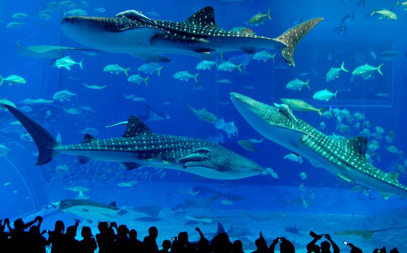 Aquarium